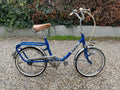 Folding Bike CHIORDA Safari Original City Bike Old Fahrrad High - Folding Bikes 4U