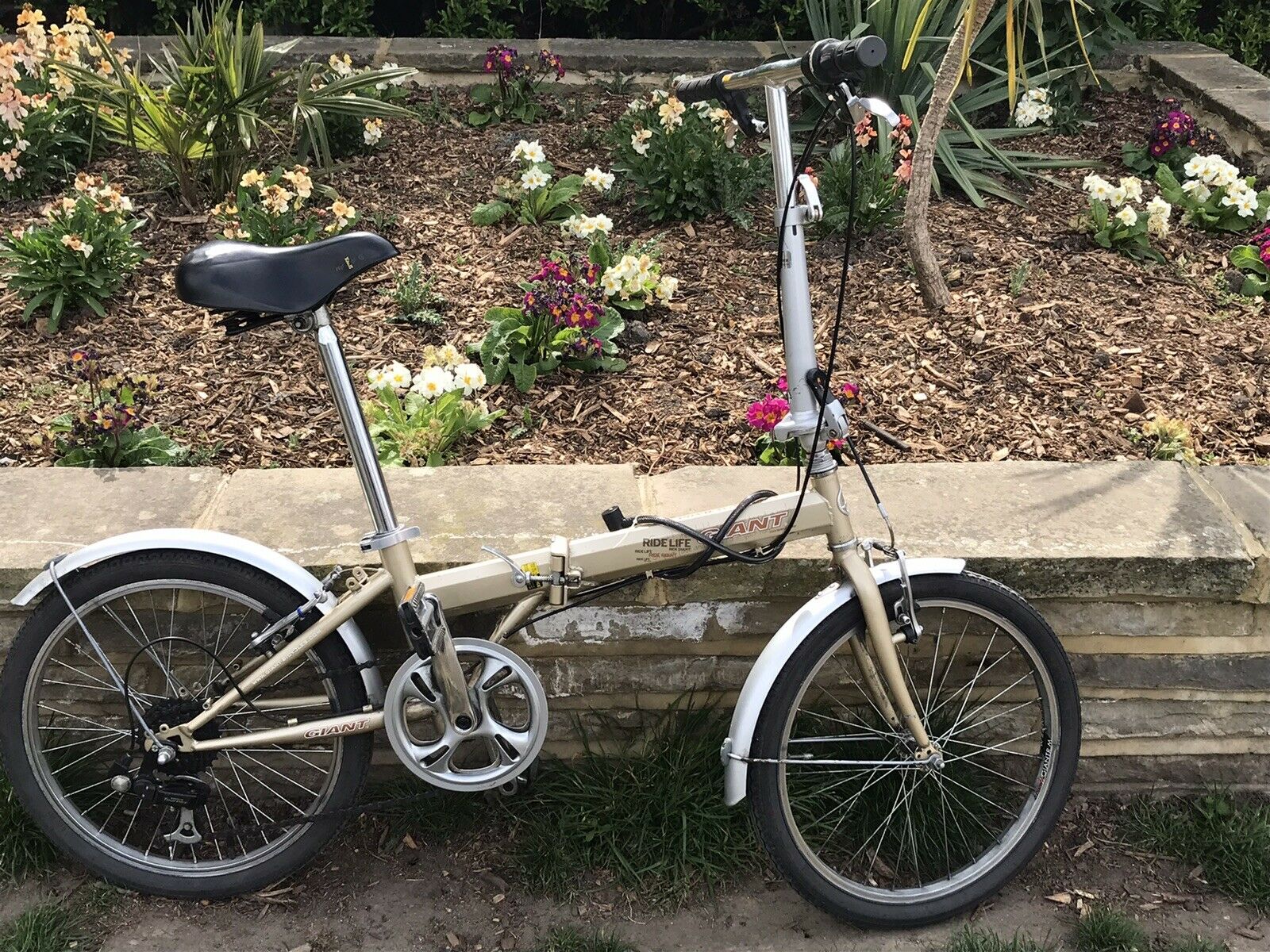 Giant Conway 2.0 RD Folding bike - Folding Bikes 4U