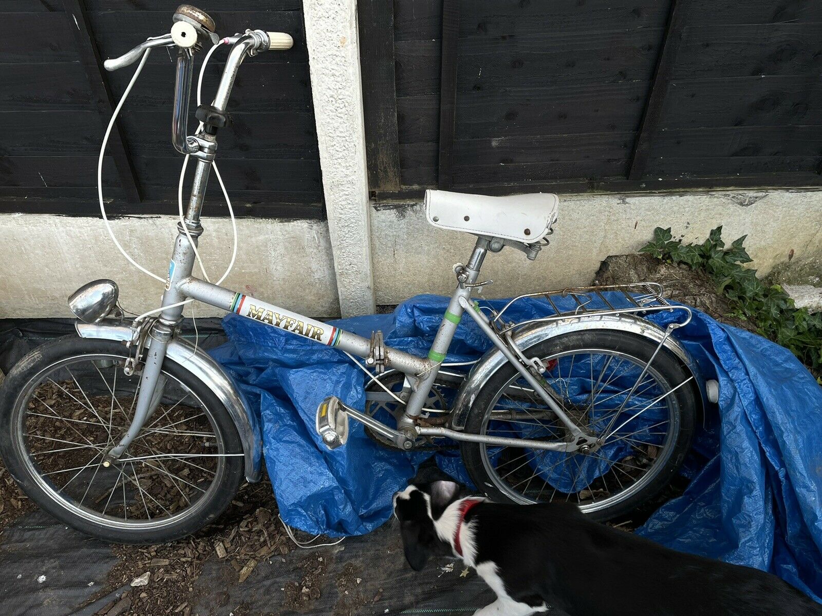 Pannonia Mayfair Vintage Folding Bike, garage find nice and has great potential - Folding Bikes 4U