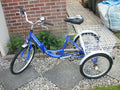 VIKING ADULT FOLDING TRICYCLE TRIKE BIKE 6 GEARS BASKET COLLECTION ONLY YARMOUTH - Folding Bikes 4U
