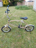 folding bike Bigfish Carnielli - Folding Bikes 4U