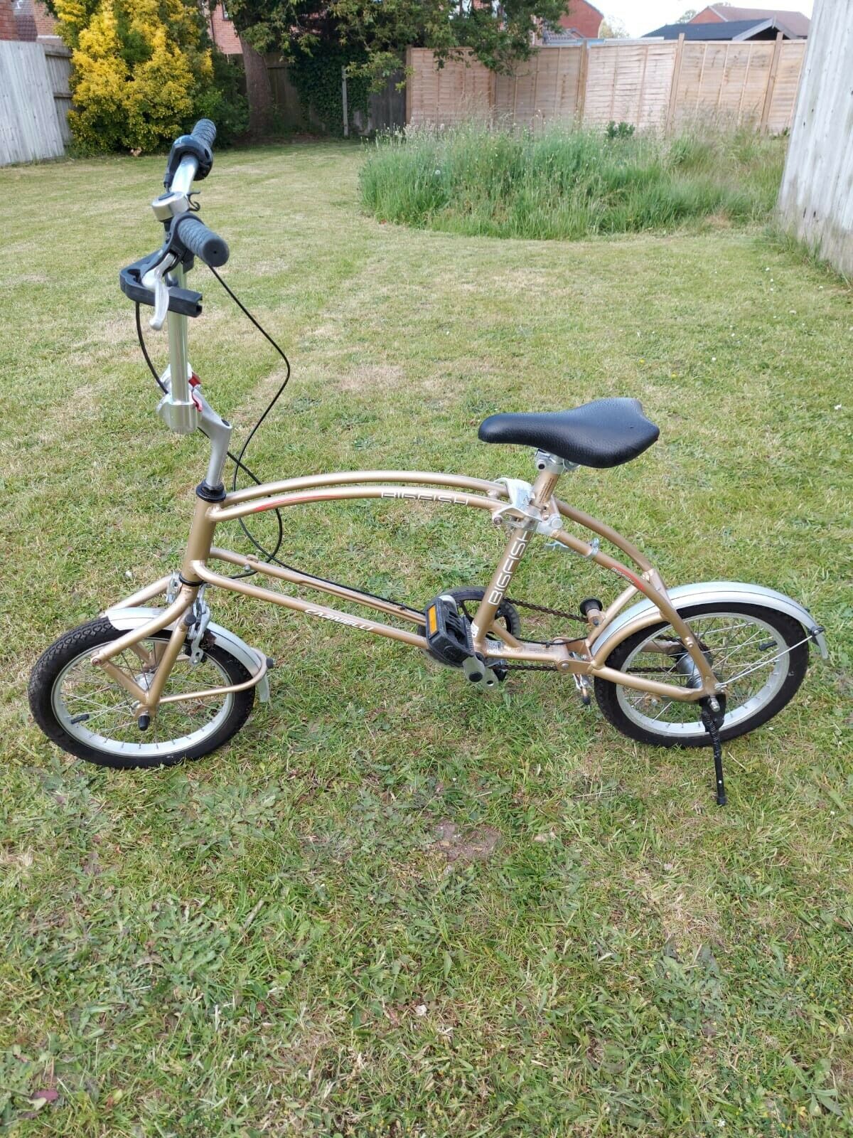 folding bike Bigfish Carnielli - Folding Bikes 4U