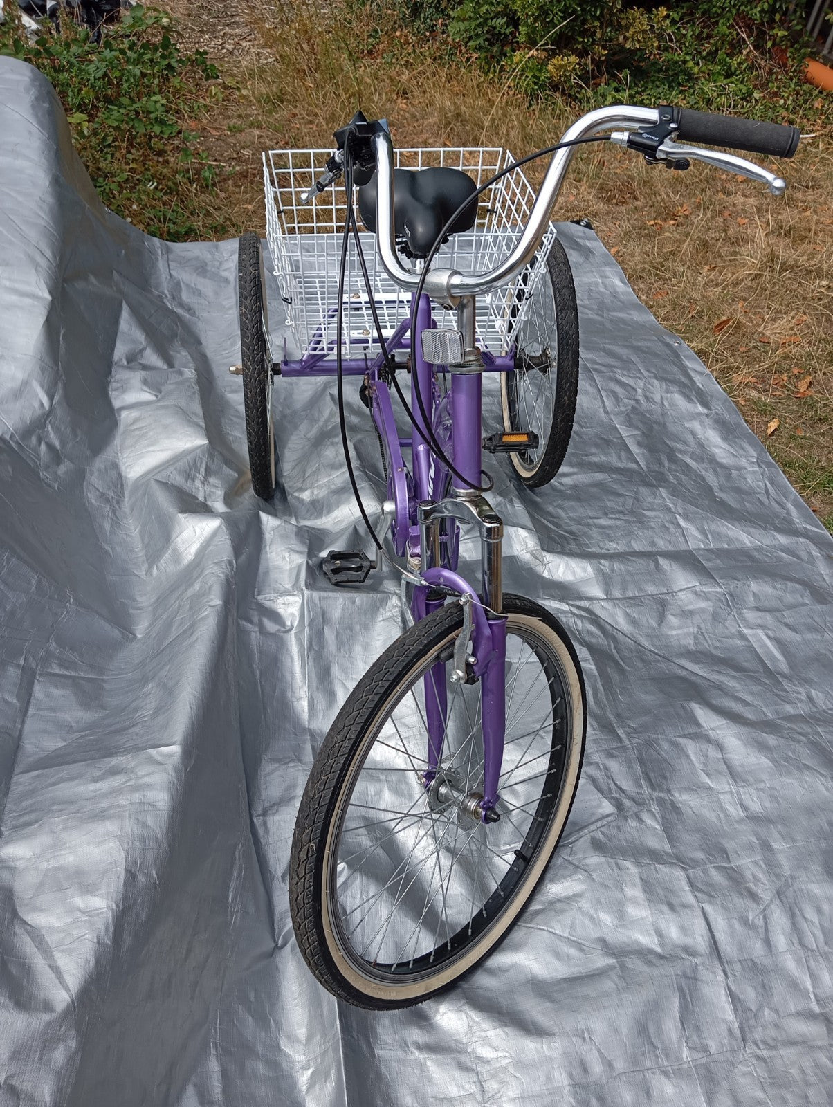 Scout Adult 24" Folding Tricycle
