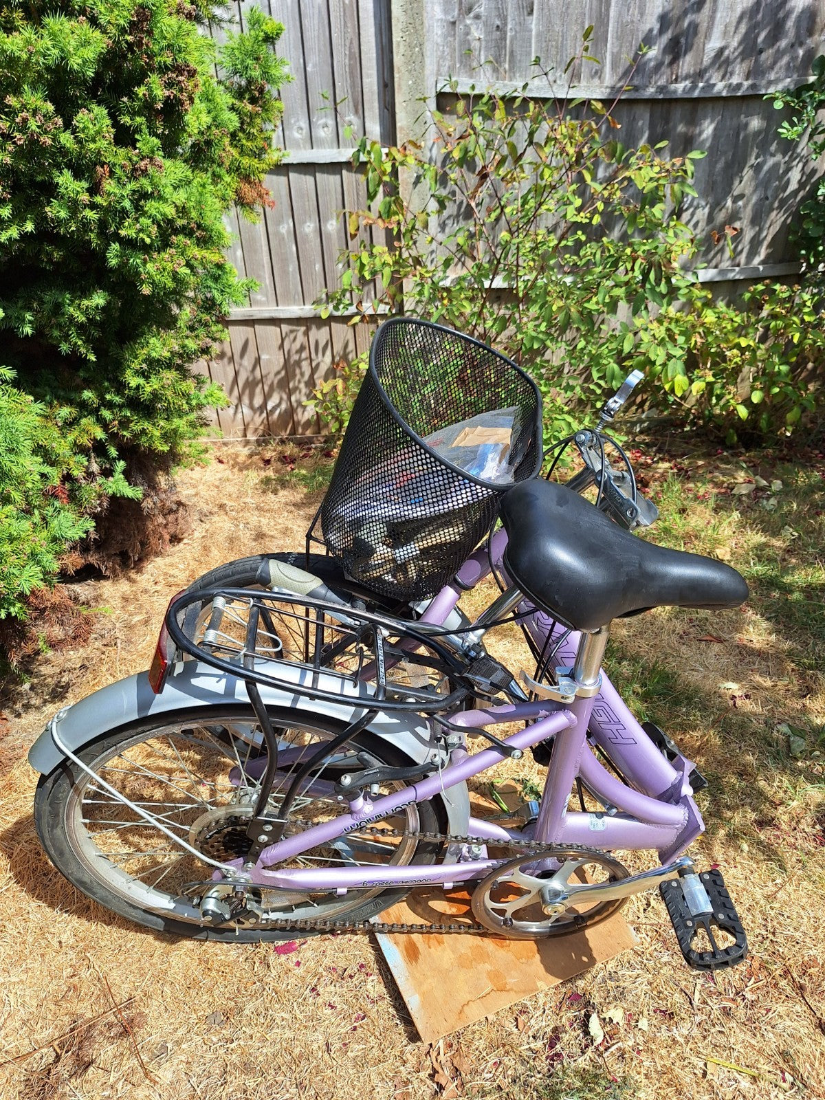 Raleigh Shopper 20in Folding Bike