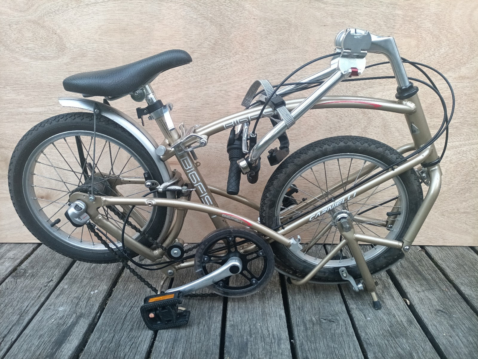 Computer Bike Carnielli Bigfish folding bike