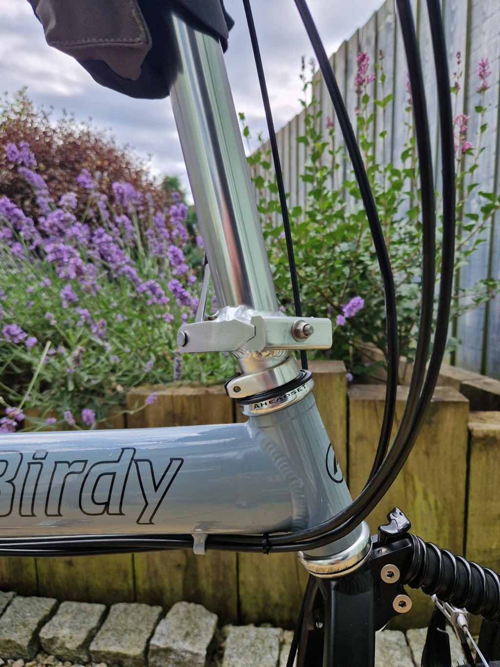 Riese and Müller Birdy Folding Bike Rohloff Classic