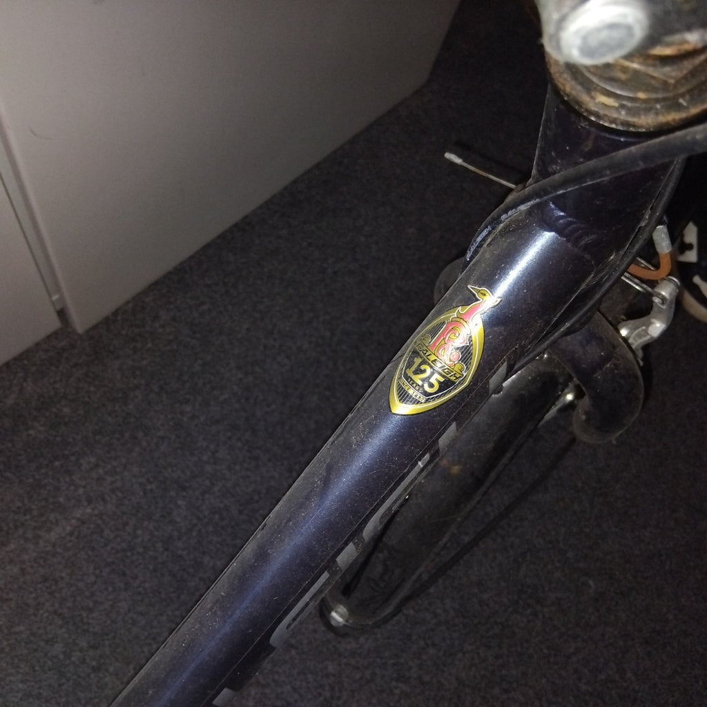 Raleigh EVO 7SP Folding Bike, Aluminum Frame, 20" Wheels, 7 Speed with Revo Grip