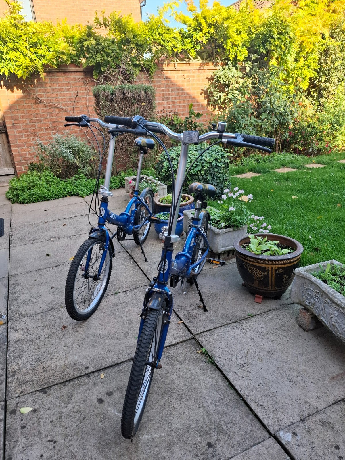 Folding Bicycles 2
