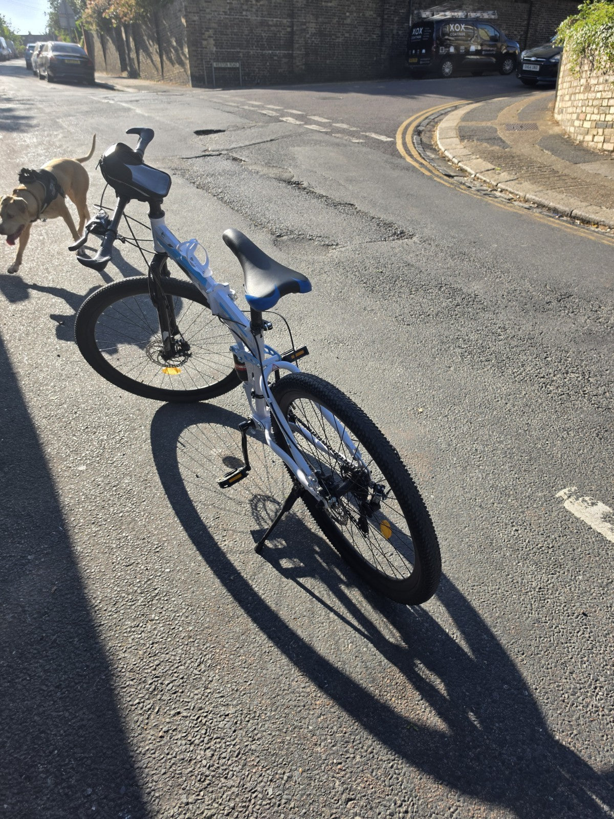Foldable Mountain Bike