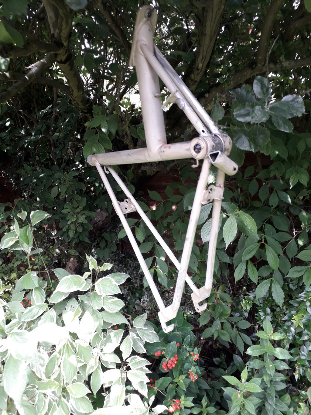 Swytch assist Bike Raleigh Stowaway