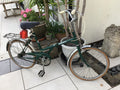 Dawes Folding kingpin Bike