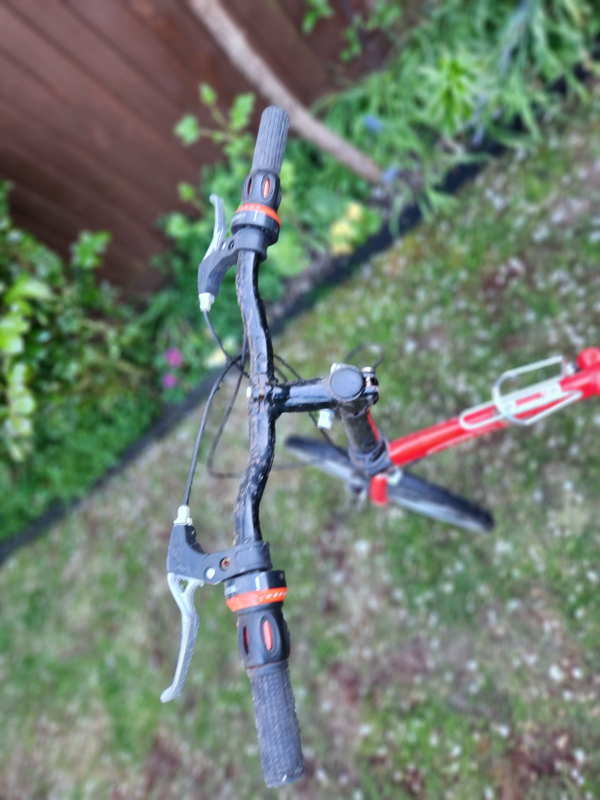 Folding Bike