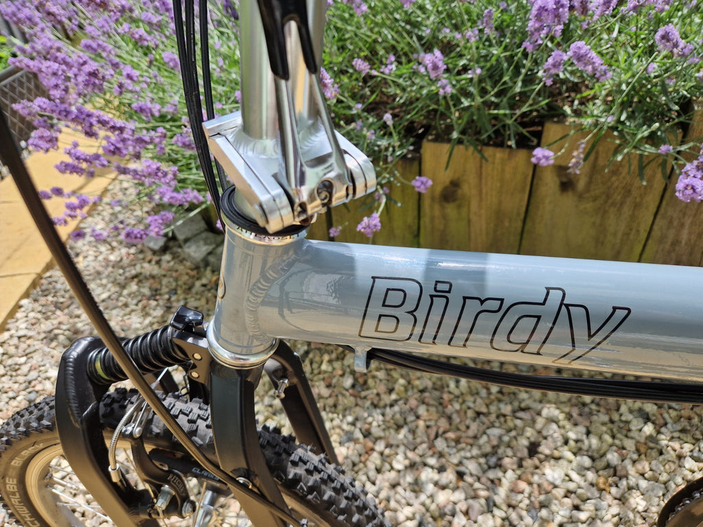 Riese and Müller Birdy Folding Bike Rohloff Classic