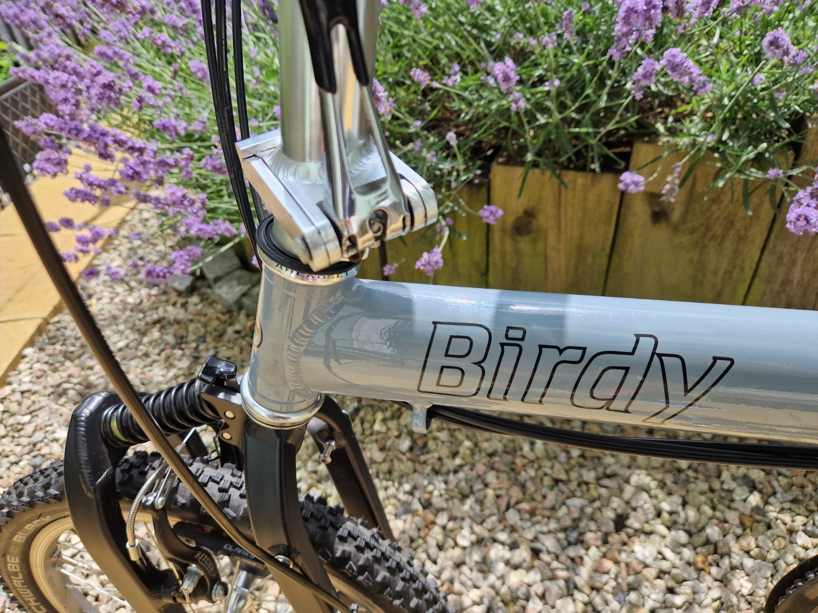Riese and Müller Birdy Folding Bike Rohloff Classic