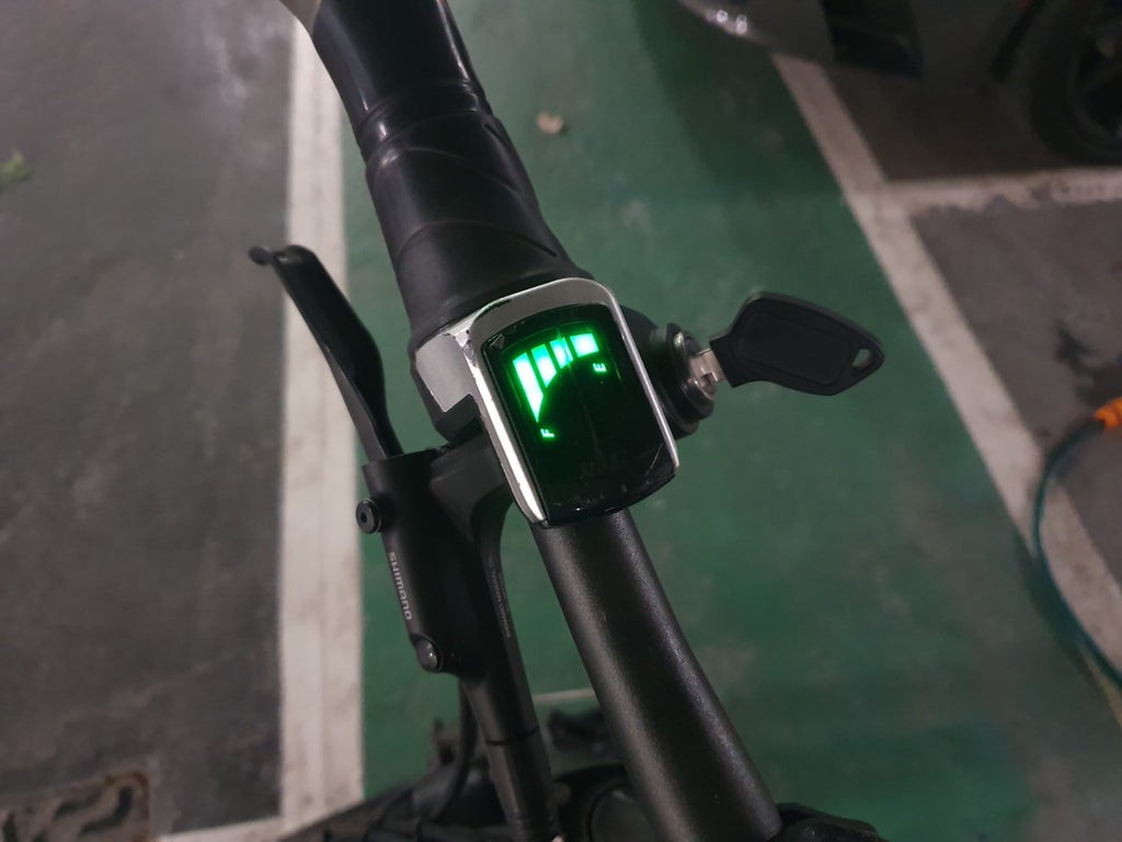 Fiido D2 Bicycle