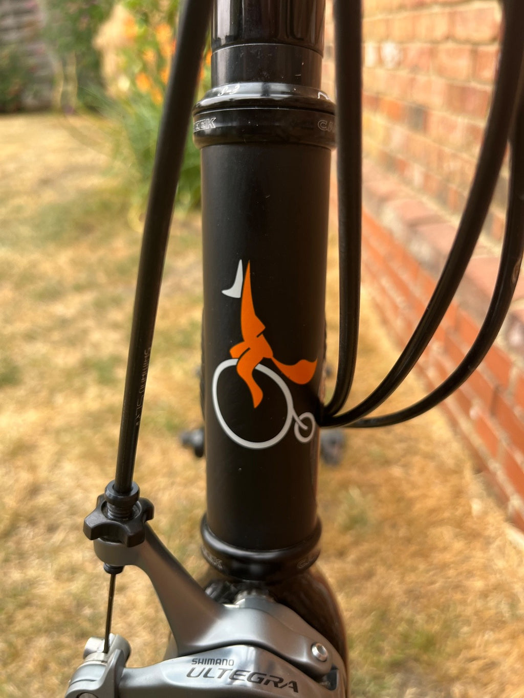Airnimal Chameleon Ultra Folding Bike, 56cm Black - Fantastic Condition!