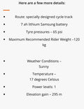 MiRiDER 20 20in Foldable  Bike, Disc Brakes, 250W Rear Hub, Grey