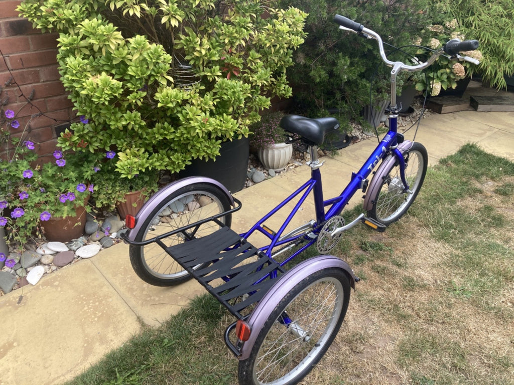 PASHLEY - Tri-1 Folding Adult Trike Blue