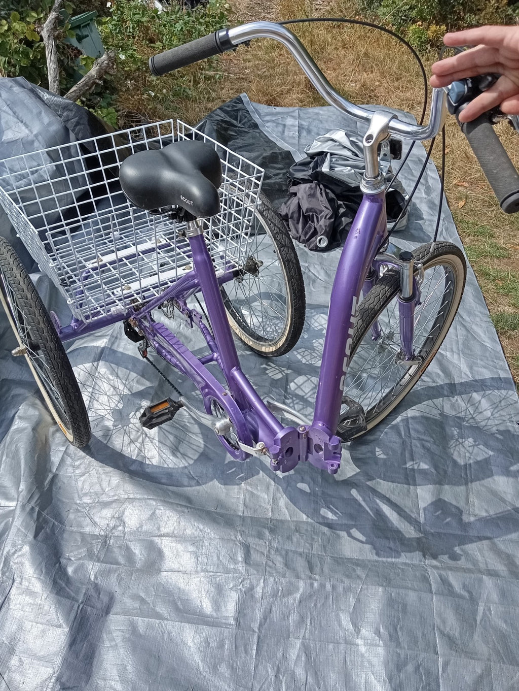 Scout Adult 24" Folding Tricycle