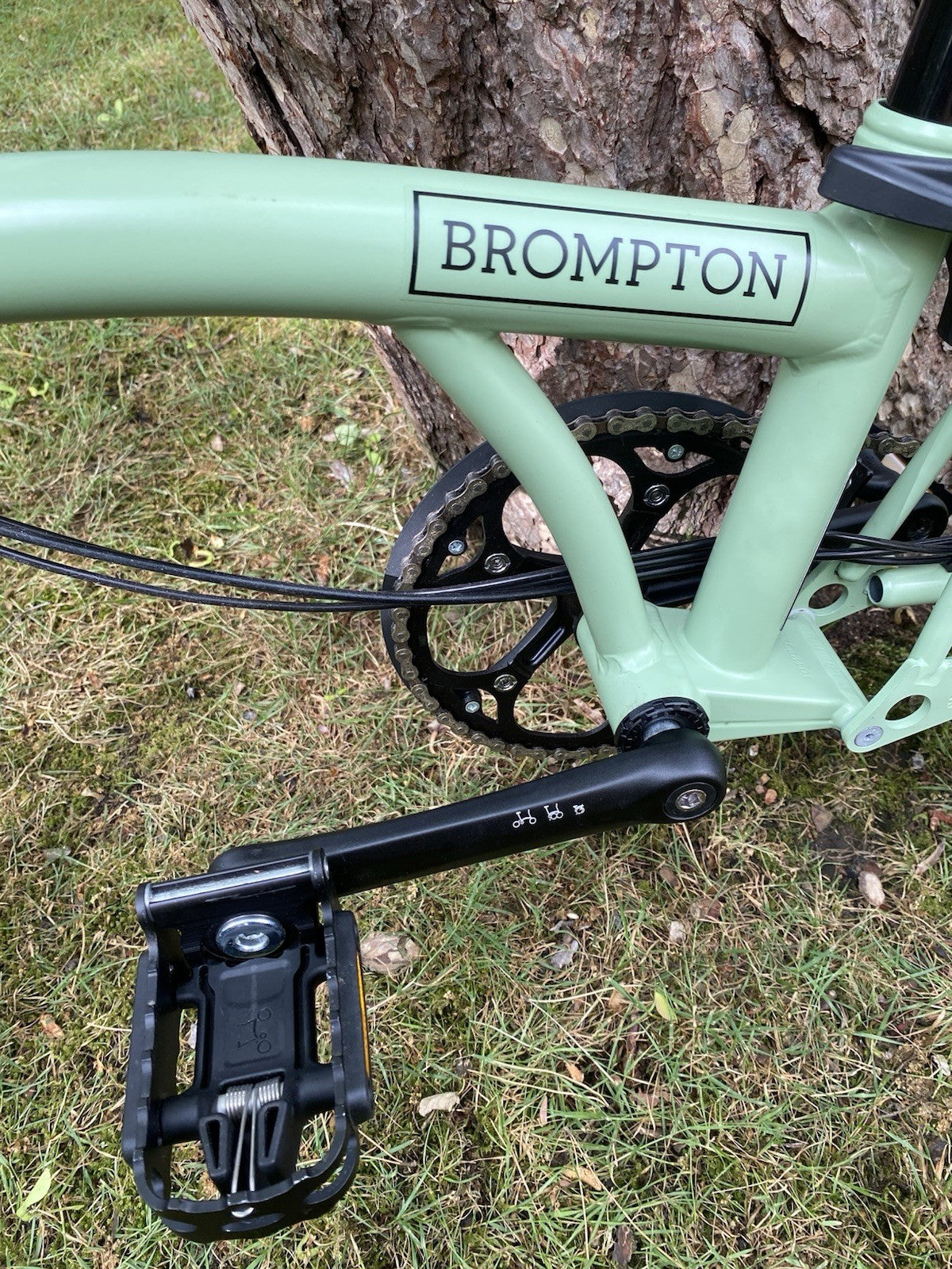 Brompton C-line 6-speed in Matcha Green (discontinued)
