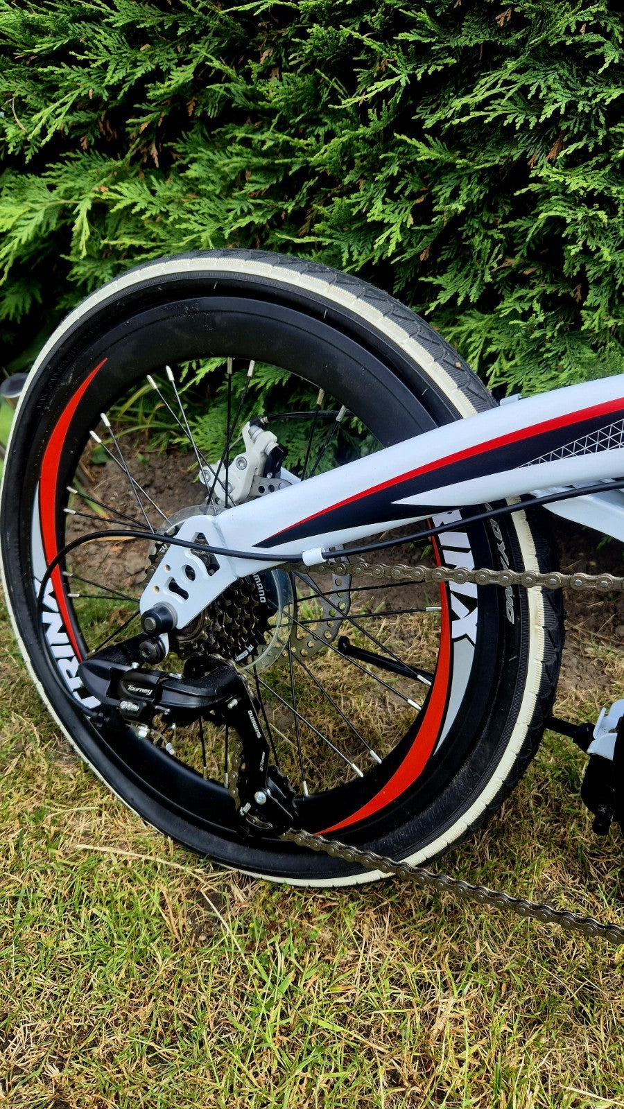 Trinity Dolphin 1.0 Compact And Portable Folding Bike