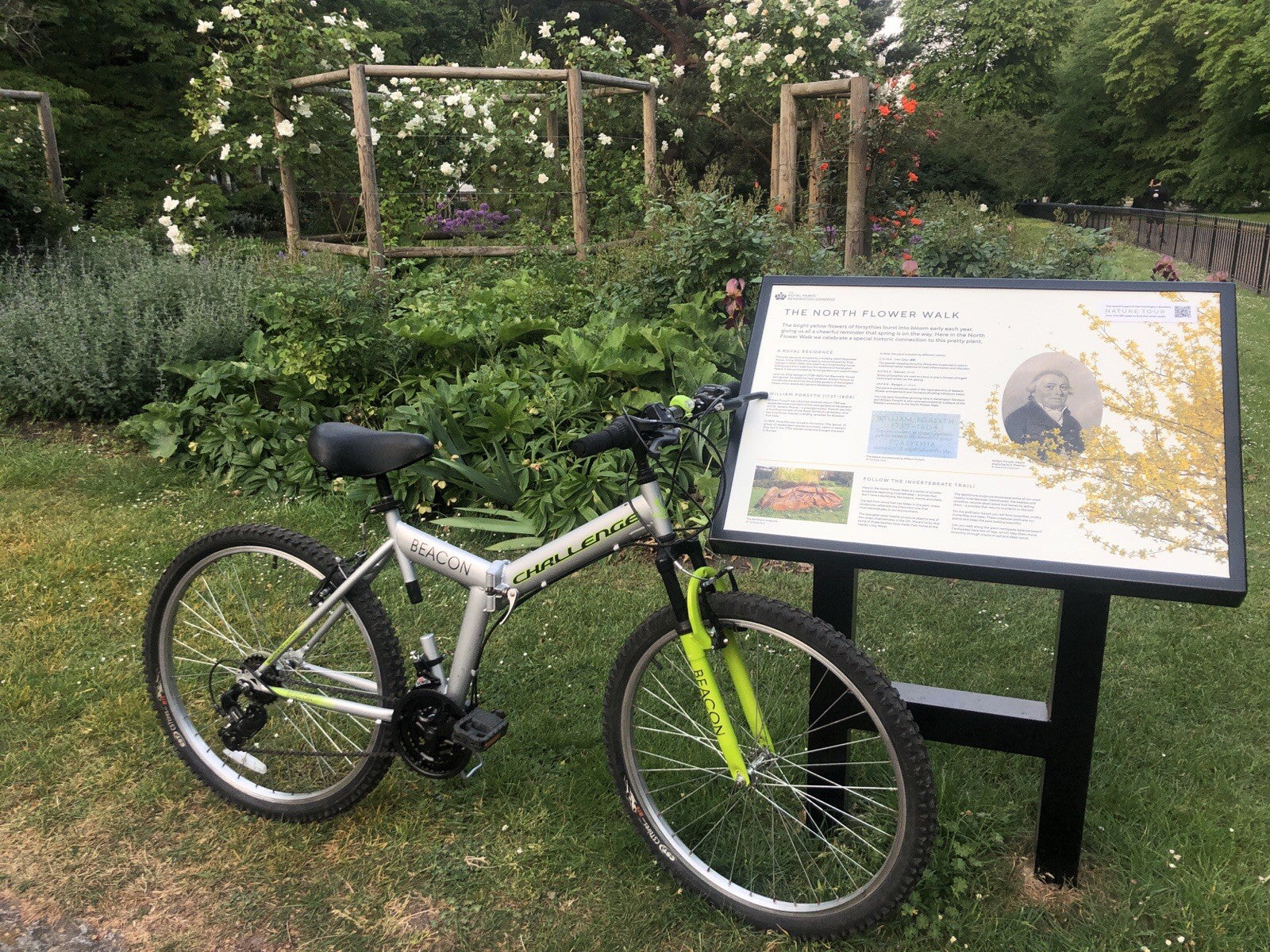 Challenge Beacon Folding Mountain bike
