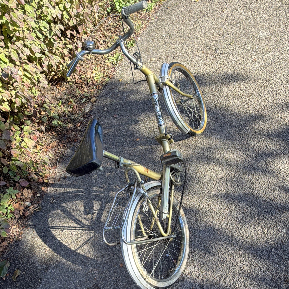 SPRICK 20in Unisex Folding Bike Gold/Silver Steel, Rear Rack Reflectors
