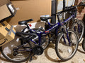 Challenge Tornado Folding Bike bundle