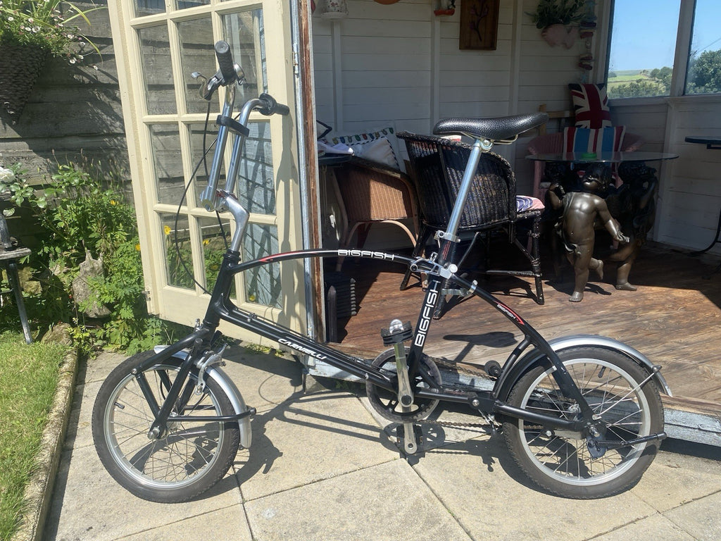 Big Fish Folding Bike 20in Black/Silver, Caliper Side-Pull, Mudguards