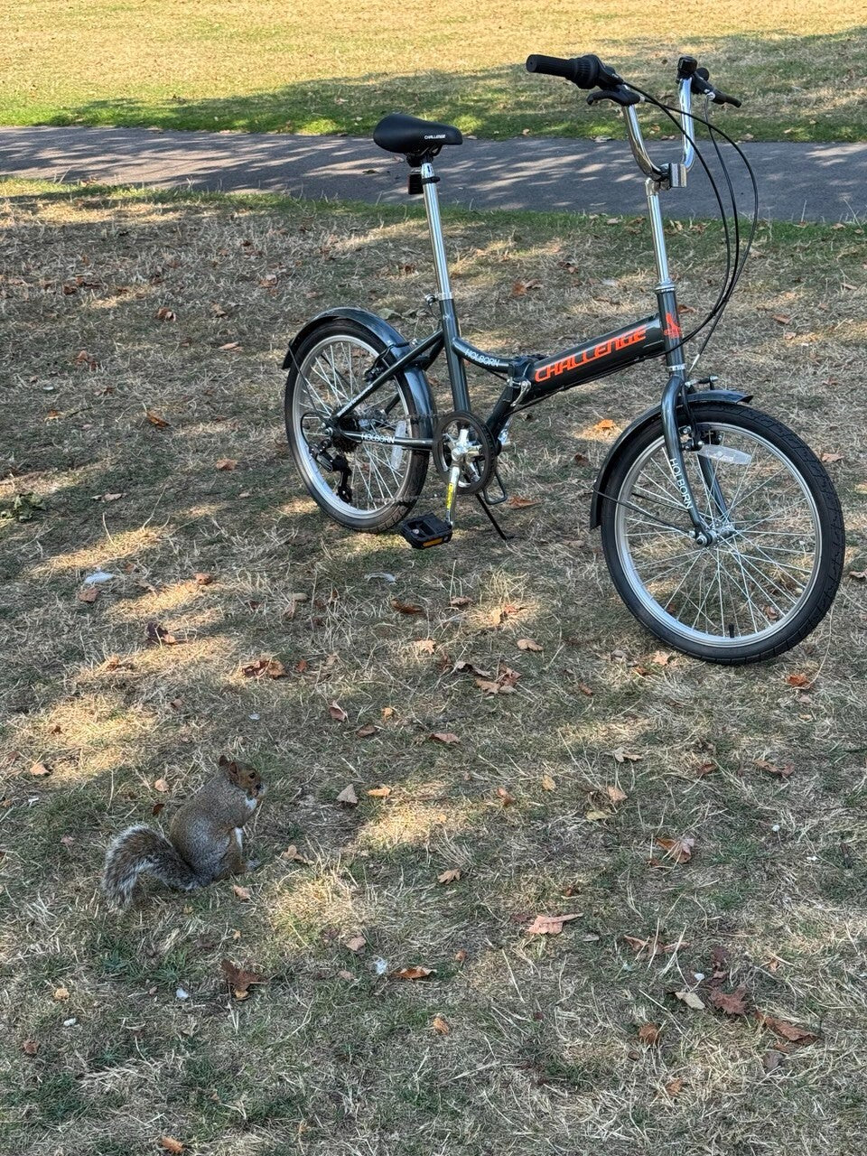 Challenge Holborn Folding Bike – Lightweight, Compact, and Perfect for Riding!