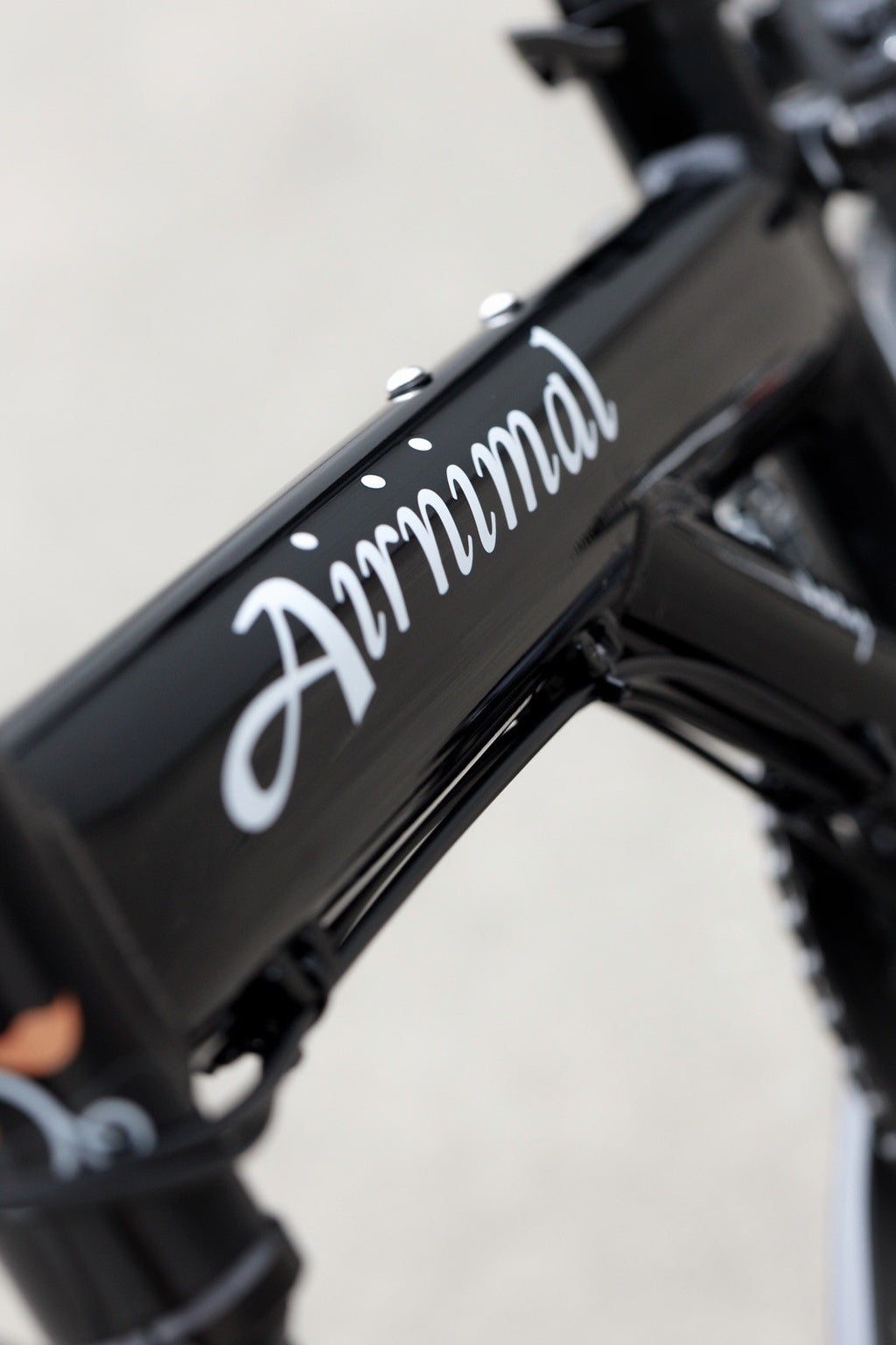 Folding Bicycle Airnimal Joey Custom Build Disc Ultegra 11 Speed