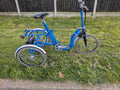 Electric Tricycle Folding Electric Trike Di Blasi R34.Compact, Delivery Possible