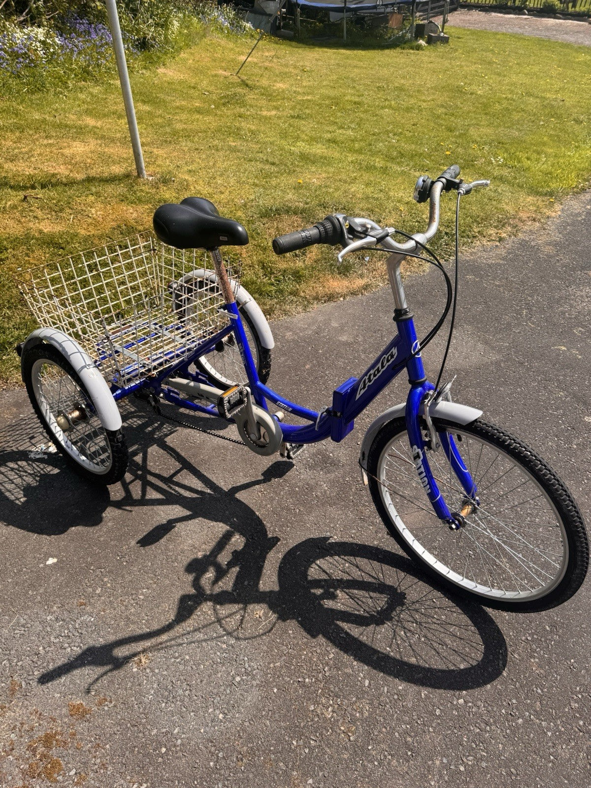 Adult Tricycle Folding 3-Wheel Bike with Basket