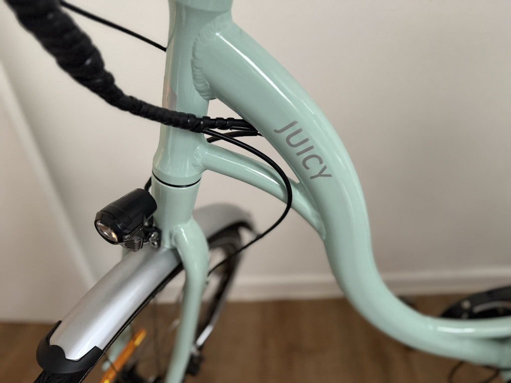 Juicy Classic City Dutch Stepthrough  Bike Assistance Up to 30MPH