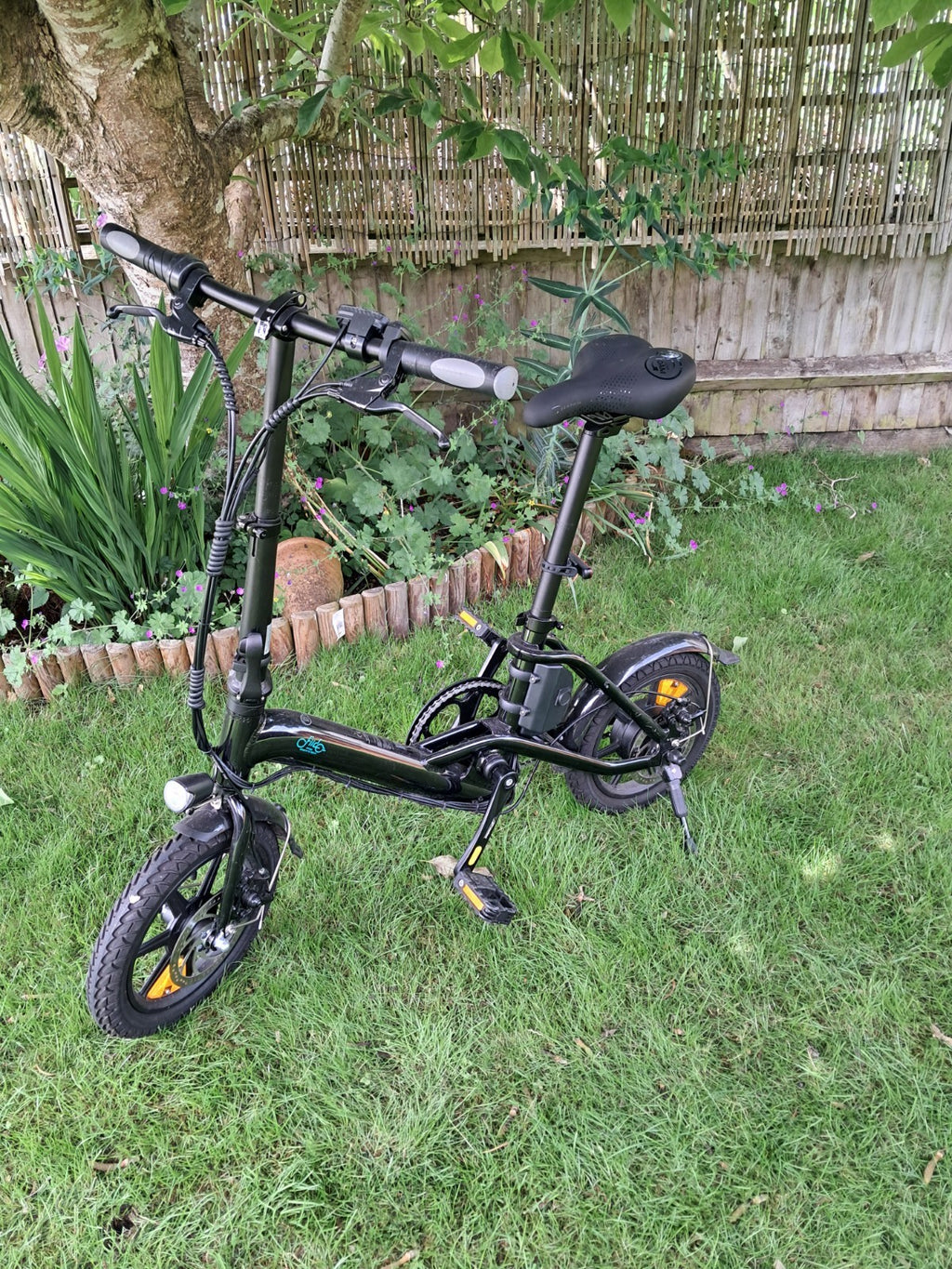 Fiido D3 Pro Bike
