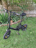 Fiido D3 Pro Bike