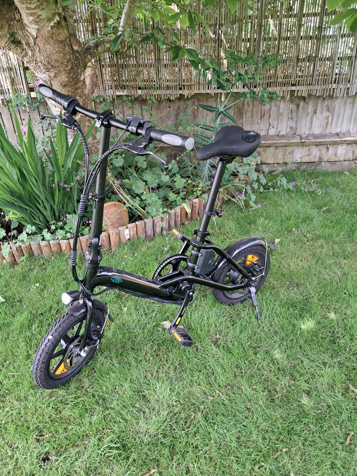 Fiido D3 Pro Bike