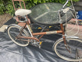 BSA Shopper Folding Bike 20 in 1 Speed Brown/White Mudguards Caliper Brakes