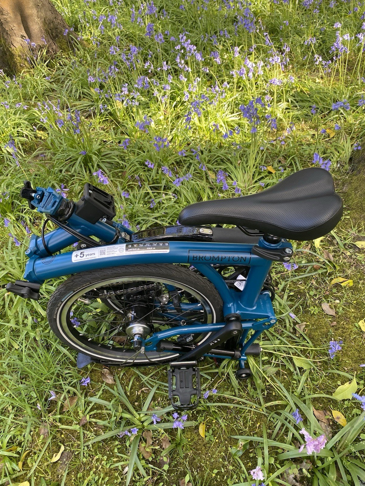 Brompton C-Line 6-Speed in Ocean Blue (Discontinued) - Mid bar - April 2026 -New