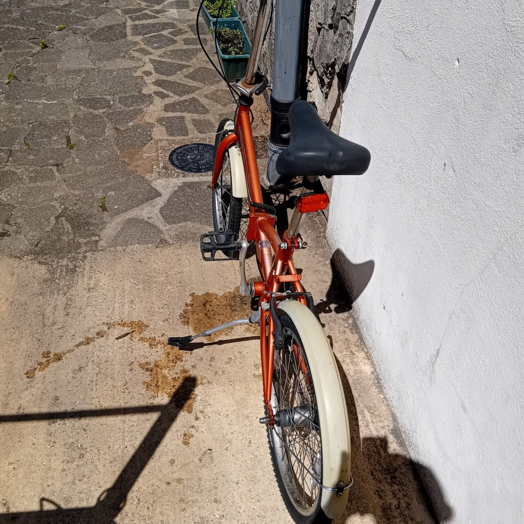 Philips Adult Fold Up Bike Folding Bicycle