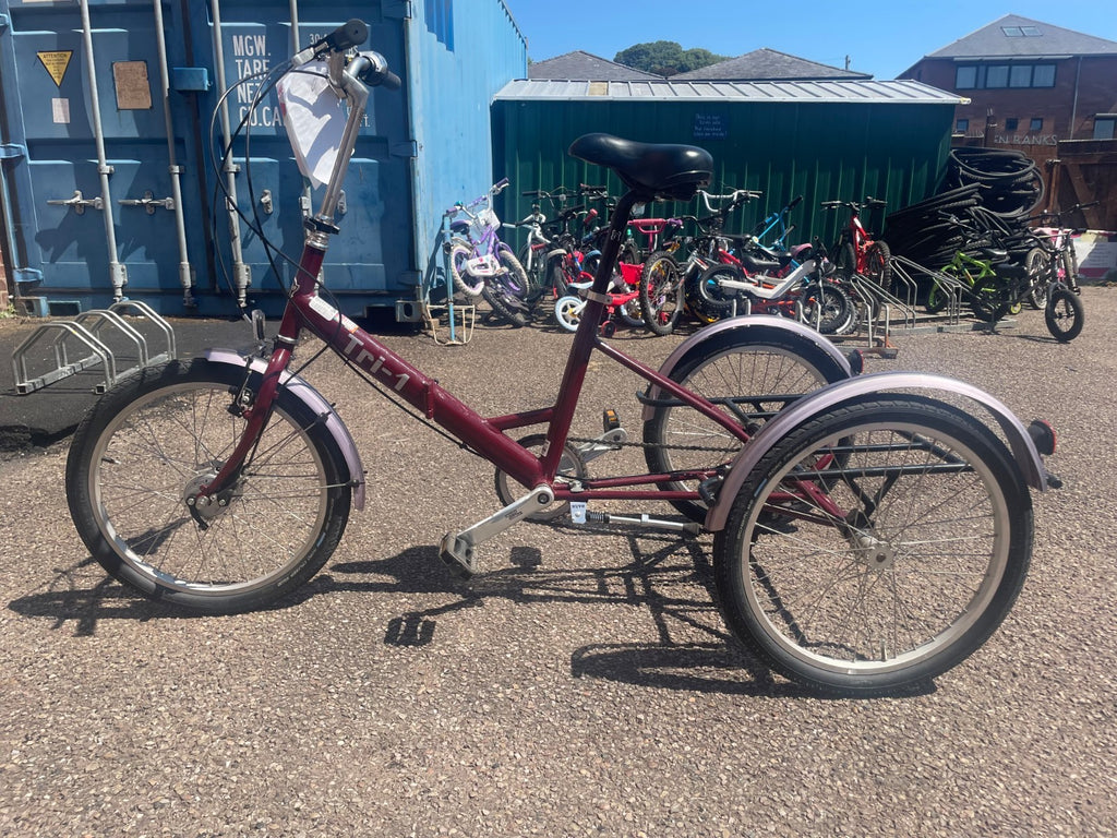 Pashley Tri-1 Adult Tricycle - folding 15'' frame