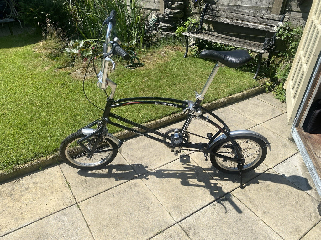 Big Fish Folding Bike 20in Black/Silver, Caliper Side-Pull, Mudguards