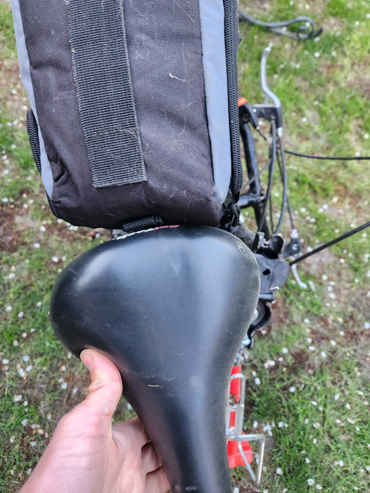 Folding Bike