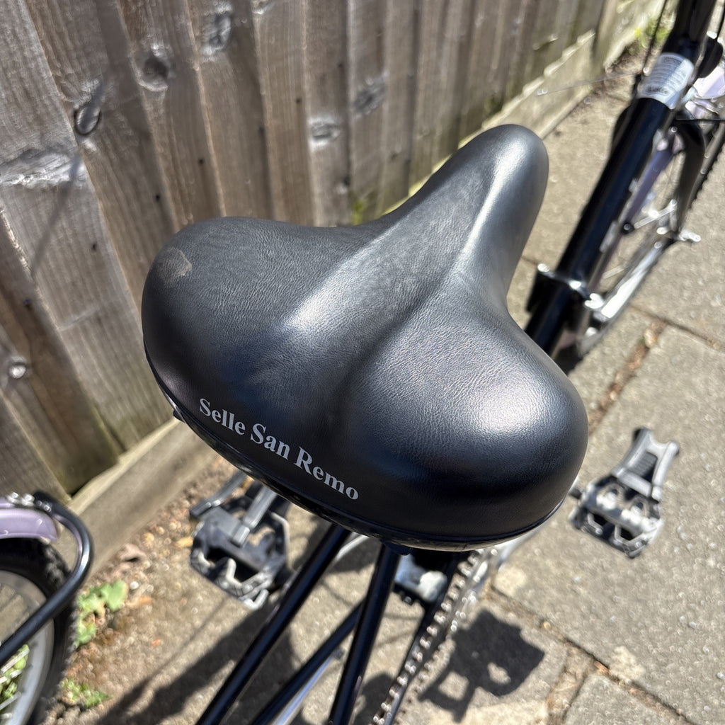 Pashley Tri-1 Adult Foldable Tricycle Trike - Gears Not Working