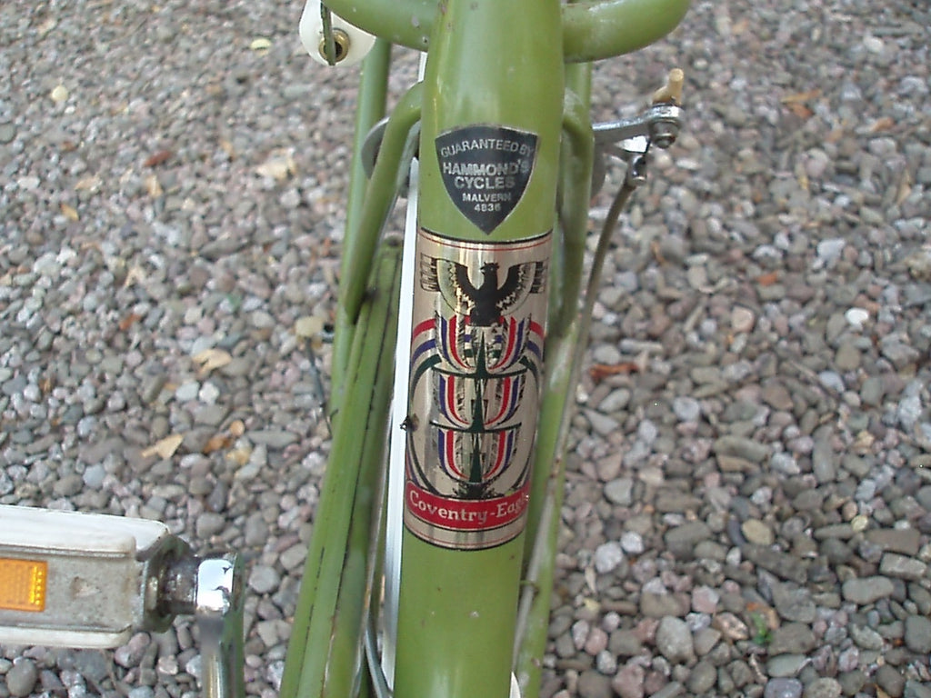 Bianchi Aquiletta folding bicycle