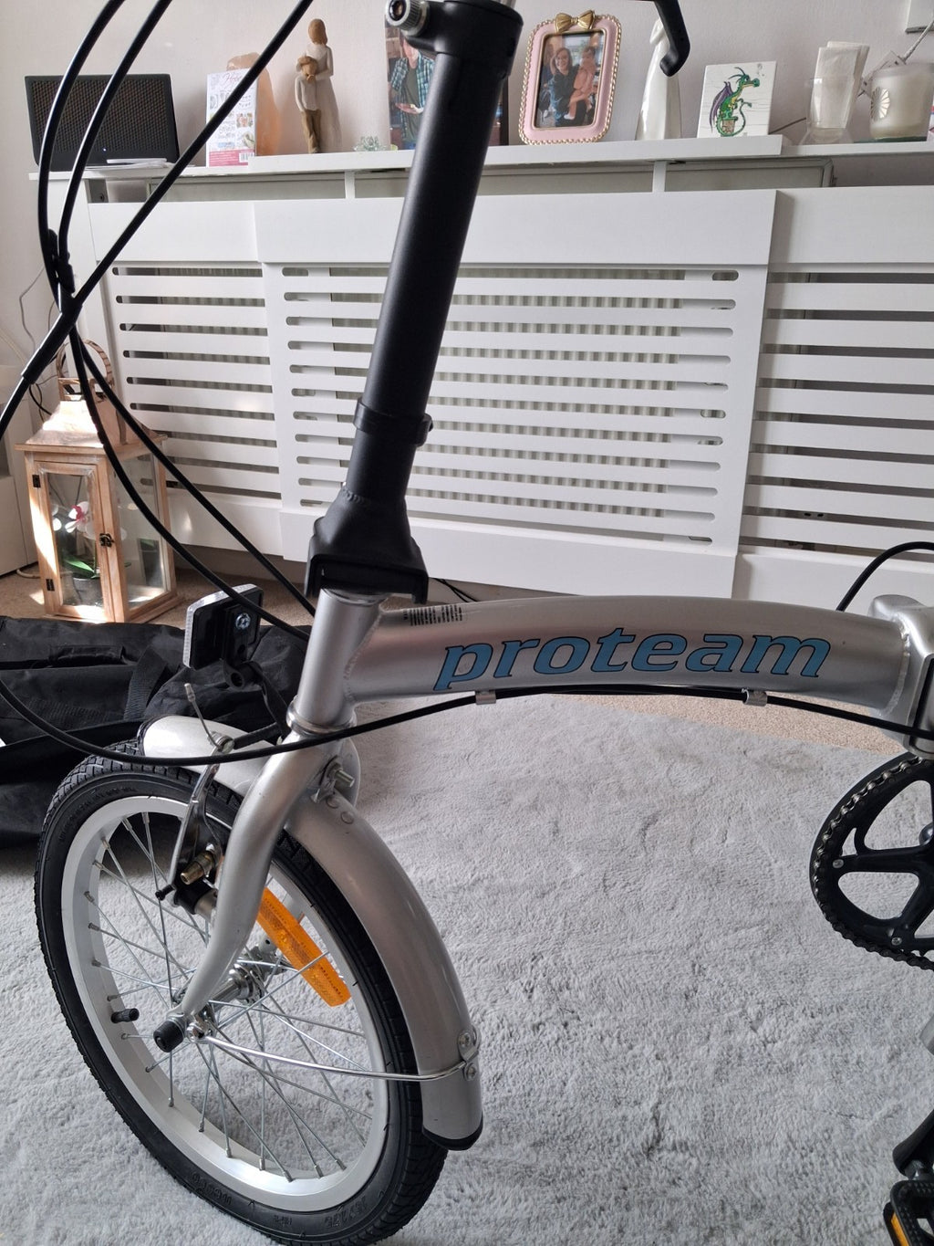 Proteam Fold Up Bike