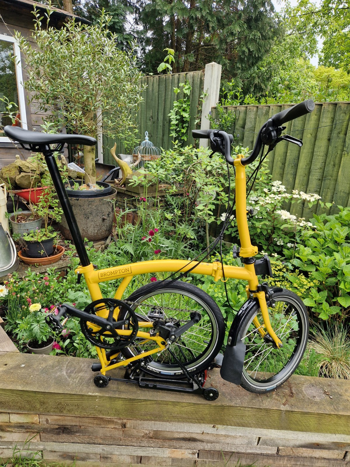 Brompton C Line 6 speed/Rack  Explore, Bumblebee Yellow/Black Mudguards LED