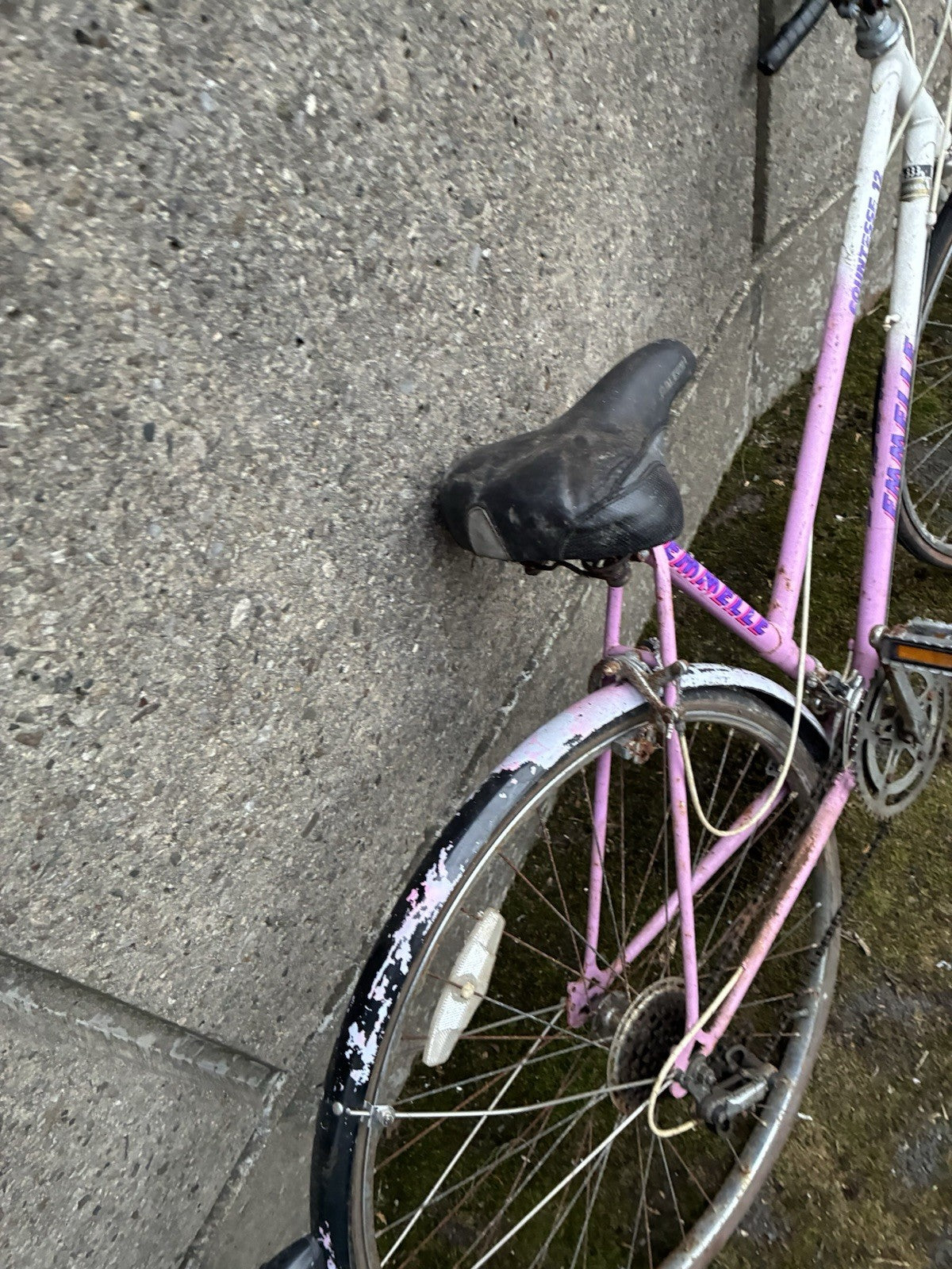 Ecosmo 26ALF08B 26 Inch Wheel Women