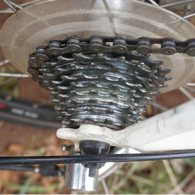 Python 2 Folding Bicycle 20 inch wheels