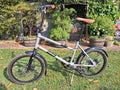 Challenge Urban Camper Semi-Folding Bike With Stand And Mud Guards